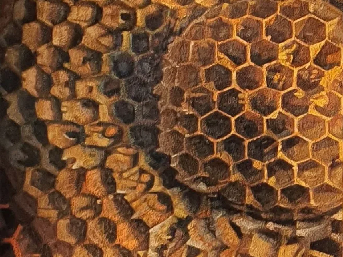 Honeycomb
